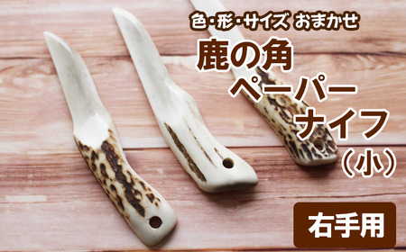 ＜色、形、大きさおまかせ＞鹿の角 ペーパーナイフ （小）1個 右手用 どちらか選べる【竜鹿】 / 本物 加工 鹿