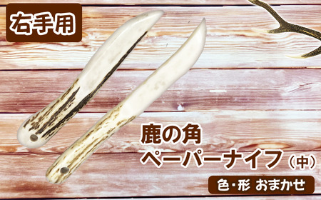 ＜色、形、大きさおまかせ＞鹿の角 ペーパーナイフ （中）右手用【竜鹿】 / 本物 加工 文房具 鹿
