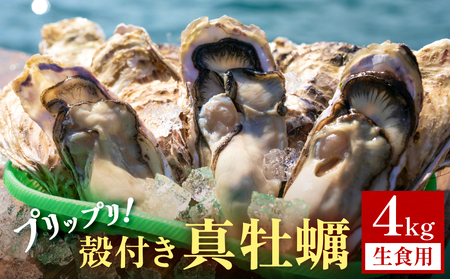殻付き 真牡蠣 4kg【生食可】 牡蠣 カキ 生食 プリプリ 石巻雄勝湾