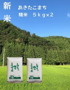 【令和5年産米】特別栽培米 こまちの郷のこまち米 精米 5kg×2袋[B5-12401]