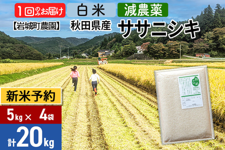 ※令和6年産 新米予約※【白米】〈減農薬〉秋田県由利本荘市産 ササニシキ 20kg(5kg×4袋)  新鮮パック 低農薬