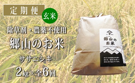 秋田県産ササニシキ（玄米）郷山のお米2kg×6ヶ月定期便（6回 6ヵ月）