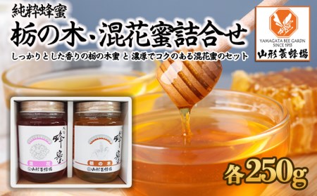 【純粋蜂蜜】 栃の木蜜・混花蜜 詰合せ 500g(各250g) FZ23-099