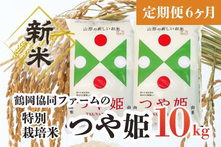 H44-001　【定期便6ヶ月】【令和4年産米】特別栽培米つや姫10kg（5kg×2袋）×6ヶ月