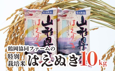 【令和4年産米】特別栽培米はえぬき10㎏（5kg×2袋）