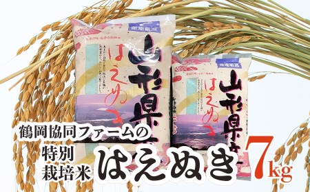 【令和4年産米】特別栽培米はえぬき7㎏（5kg＋2㎏）