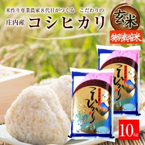 SA2061　令和6年産【玄米】特別栽培米 コシヒカリ　10kg(5kg×2袋)「農家直送」 KA