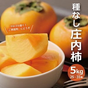 SA2099　酒田の果物専門店厳選　庄内柿(種なし柿)　約5kg(25～31玉入)