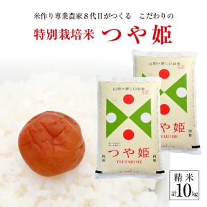 SA2063　令和6年産【精米】特別栽培米 つや姫　10kg(5kg×2袋)「農家直送」 KA