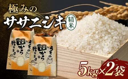 【先行予約】 令和6年産 極みのササニシキ（精米） 10kg（5kg×2） 米 お米 おこめ 山形県 新庄市 F3S-2164