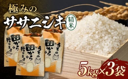 【先行予約】 令和6年産 極みのササニシキ（精米） 15kg（5kg×3） 米 お米 おこめ 山形県 新庄市 F3S-2172