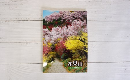 No.1148　写真集 ふくしまの桃源郷「花見山」