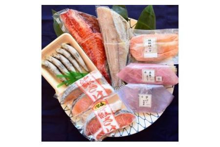 【魚屋の娘厳選】煮魚・焼魚・干物8点