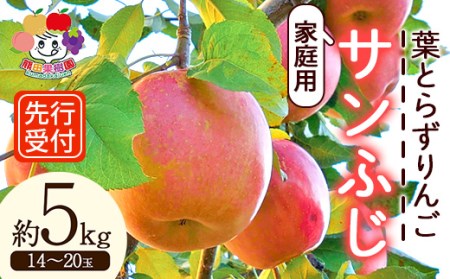 ＜先行予約＞家庭用 葉とらずりんご サンふじ 約5kg（14～20玉） F21R-879