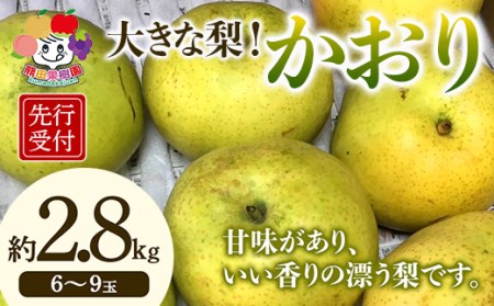 ＜先行予約＞大きな梨 かおり 約2.8kg（6～9玉） F21R-881
