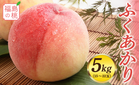 福島の桃 ふくあかり 5kg（15～22玉）先行予約 フルーツ 果物 伊達市産 もも モモ momo F20C-554