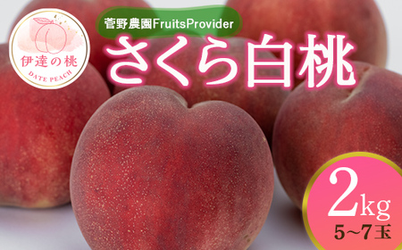 福島の桃 さくら白桃 2kg（5～7玉） 先行予約 フルーツ 果物 【菅野農園FruitsProvider】 桃 もも モモ momo F20C-639