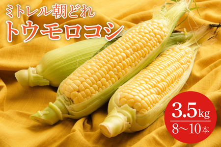 JN-1【先行予約】本田農園　ミトレル朝どれトウモロコシ
