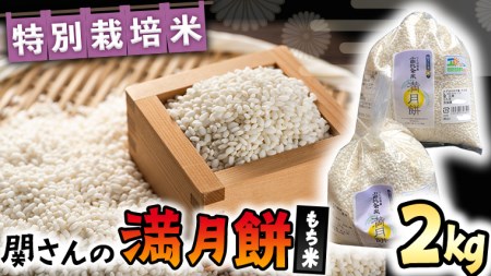 【 特別栽培米 】 関さんの もち米「 満月餅 」 2kg 特別栽培農産物 認定米 米 コメ お米 餅米