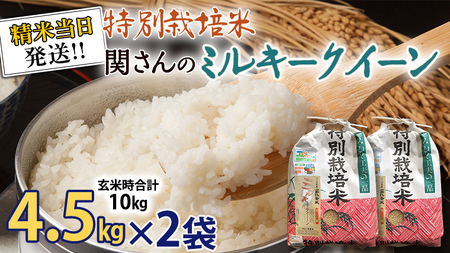 《 特別栽培米 》 令和5年産 精米日出荷 関さんの「 ミルキークイーン 」 4.5kg × 2袋 ( 玄米時 10kg ) 新鮮 精米 米 こめ コメ 特別栽培農産物 認定米