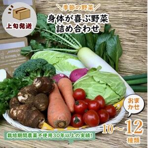 【発送月固定定期便】『身体が喜ぶ野菜』詰め合わせ(おまかせ10～12品)上旬発送全10回【配送不可地域：離島】【4053651】