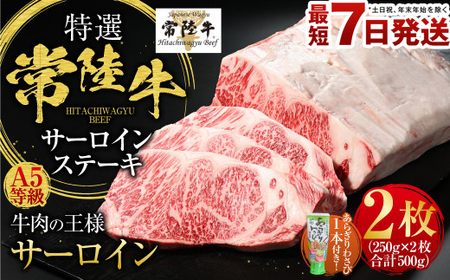 【特選】常陸牛（ひたちぎゅう） A5等級 サーロインステーキ 2枚（250g×2） 計500g