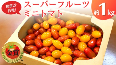 スーパーフルーツ ミニトマト 約1kg 野菜 フルーツトマト フルーツ トマト とまと [AF096ci]