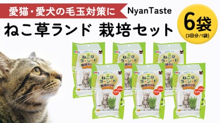 Nyantaste ねこ草ランド栽培セット 3回分×6袋 毛玉ケア 猫用 犬用 ペットフード [BU005sa]