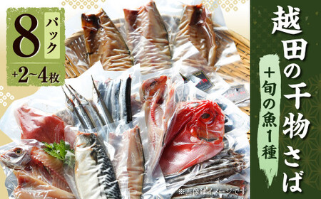 越田の干物 さば(1枚入)×8パック + 旬の魚一種(2～4枚) 干物 鯖 さば