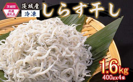 475 しらす干し 1.6kg （400g×4袋） 【茨城県共通返礼品/北茨城市】