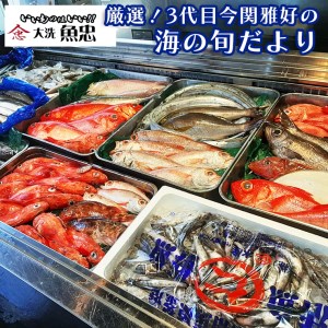 鮮魚店「魚忠」 厳選鮮魚セット 大洗 厳選 旬 魚 さかな_AS004