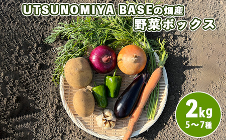 UTSUNOMIYA BASEの畑産野菜ボックス 2kg ※着日指定不可