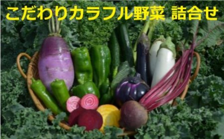 力丸さんのこだわりカラフル野菜　【11218-0182】