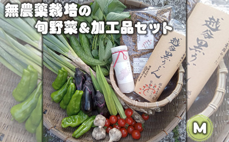 No.053 無農薬栽培の旬野菜＆加工品セット　M