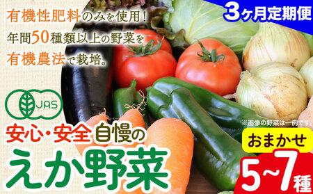野菜 定期便 毎月定期便3回 えか野菜 おまかせ 5～7種セット 有機JAS認定