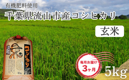 コシヒカリ 米 5kg 有機肥料 玄米 定期便3ヶ月