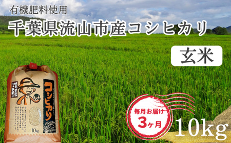 コシヒカリ 米 10kg 有機肥料 玄米 定期便3ヶ月