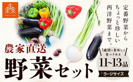 野菜 農家直送 新鮮 野菜 セット 容量：11~13品 単発