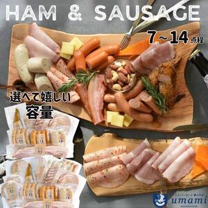 ハム ソーセージ おうちのみセット 容量：7点程 豚肉 ハム ソーセージ ウィンナー 加工品 燻製 福袋 Umami