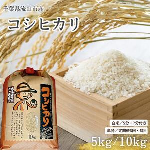 コシヒカリ 米 10kg 有機肥料 5分搗き 定期便6ヶ月