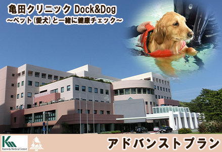 【亀田クリニック Dock&Dog】アドバンストプラン　１名様（平日限定１泊２食付） [0600-0001]
