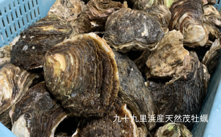 職人漁師が採る天然"茂牡蠣”小2kg入り（6～8個）