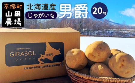 北海道産じゃがいも〈男爵〉20kg［京極町］ 野菜 男爵 じゃがいも 20kg 北海道 料理