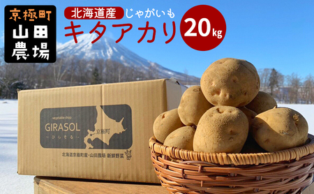 北海道産じゃがいも〈キタアカリ〉20kg［京極町］ 野菜 キタアカリ じゃがいも 北海道 20kg 料理