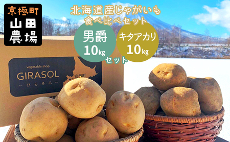 北海道産じゃがいも〈男爵〉10kg・〈キタアカリ〉10kg食べ比べセット［京極町］じゃがいも 男爵 キタアカリ 野菜 10kg セット 食べ比べ 料理