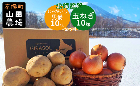 北海道産じゃがいも〈男爵〉10kg・玉ねぎ10kgセット［京極町］ じゃがいも 玉ねぎ 野菜 10kg セット 料理 男爵