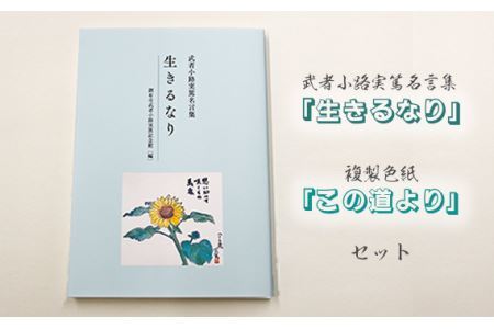 No.088 武者小路実篤名言集『生きるなり』と複製色紙「この道より」セット