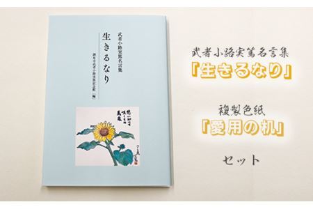 No.089 武者小路実篤名言集『生きるなり』と複製色紙「愛用の机」セット