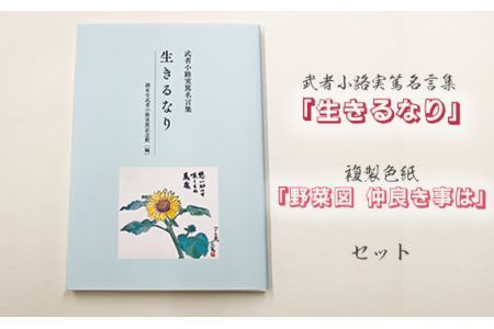 No.090 武者小路実篤名言集『生きるなり』と複製色紙「野菜図　仲良き事は」セット