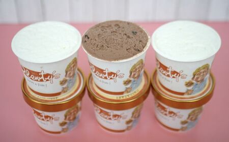 湘南茅ヶ崎の人気店 プレンティーズのしぼりたてミルク＆生チョコアイスクリーム堪能セット のし有